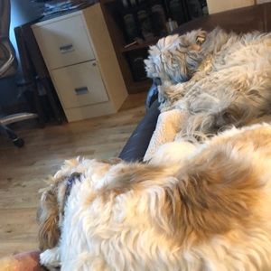 Meet your Posher, Donna